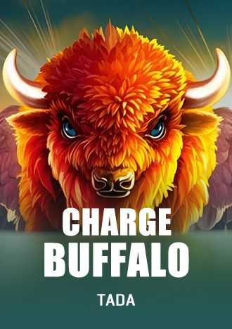 Bet9 com