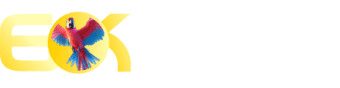 Betvip sport - Pxxbet
